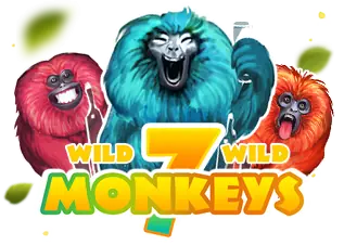 7 Monkeys area1 ทางเข้า